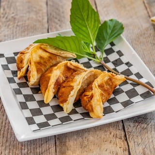 Pork and Veggie Gyoza